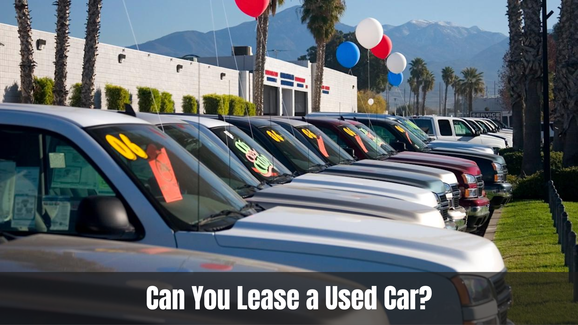 Can You Lease a Used Car?